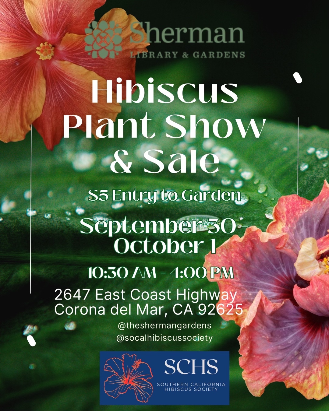 Southern California Hibiscus Society – The Incredible New World of Hibiscus